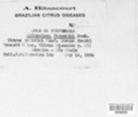 Elsinoe fawcettii image